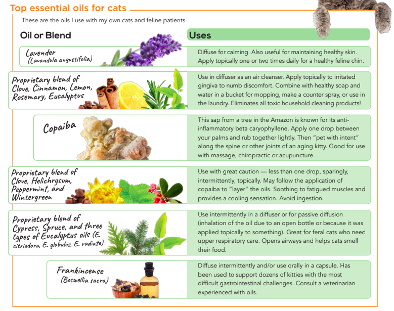 essential oils for cats