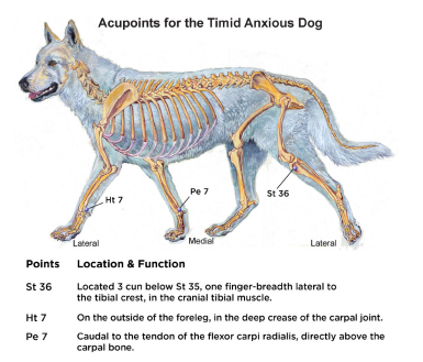 acupressure