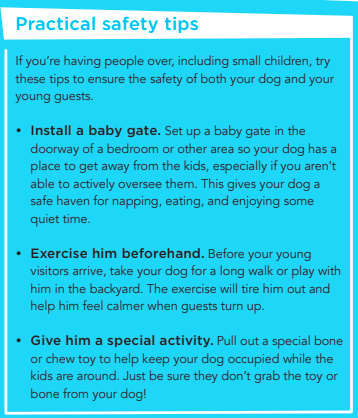 Do dogs and toddlers mix - practical safety tips