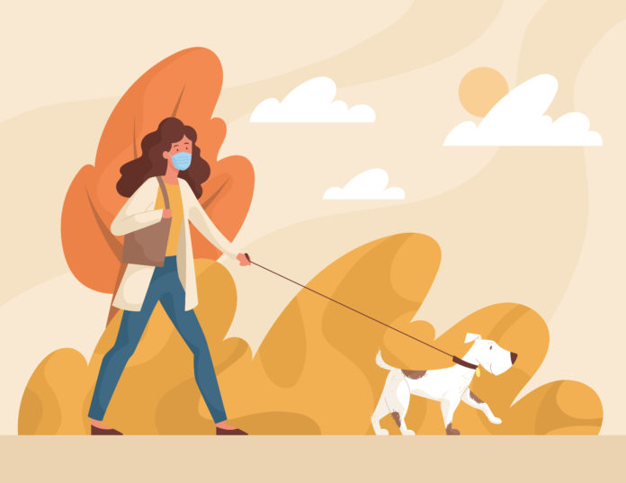 8 ways to socialize your new dog — when you have to social distance