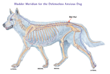 acupressure for separation anxiety