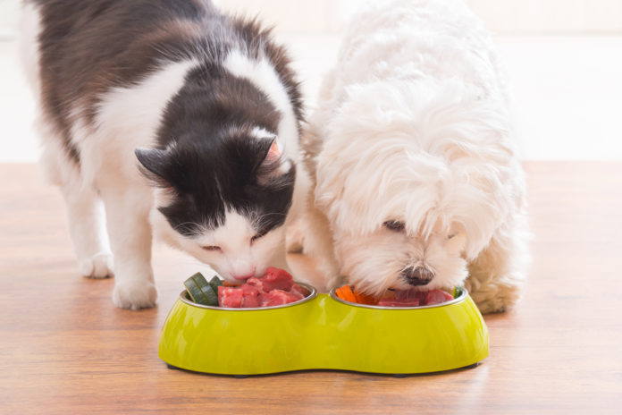 Organ meats — superfoods for dogs and cats