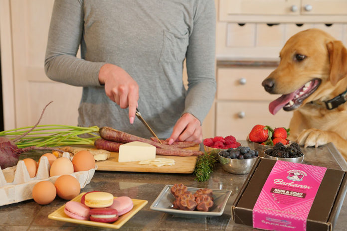 5 things to look for when choosing pet treats