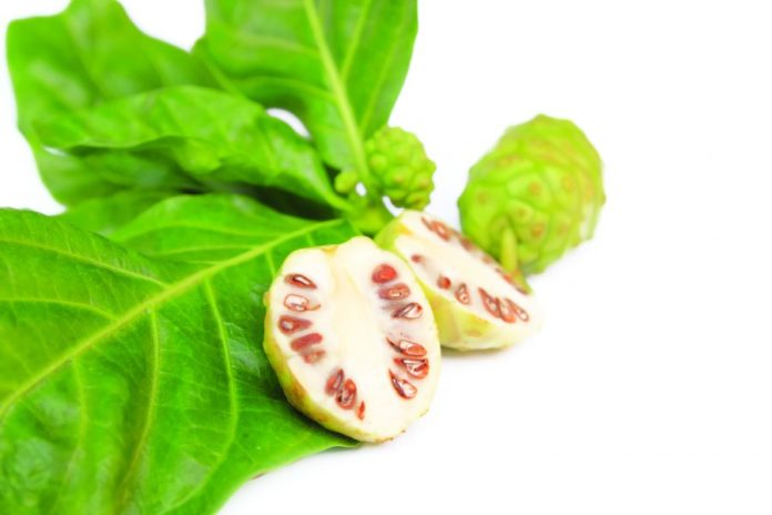 Noni – a tropical fruit that’s good for dogs and cats