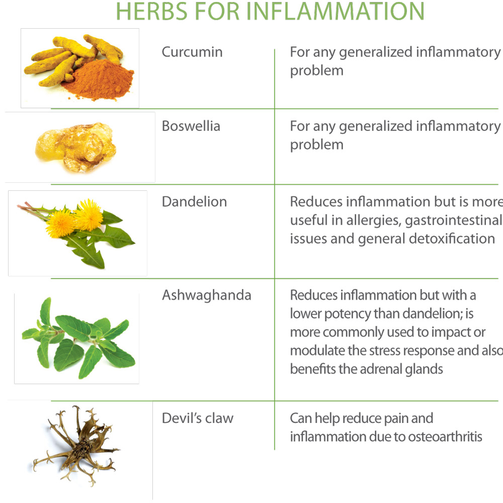 herbs for inflammation