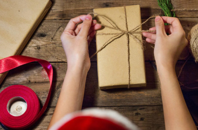 5 DIY holiday gift ideas for animal lovers