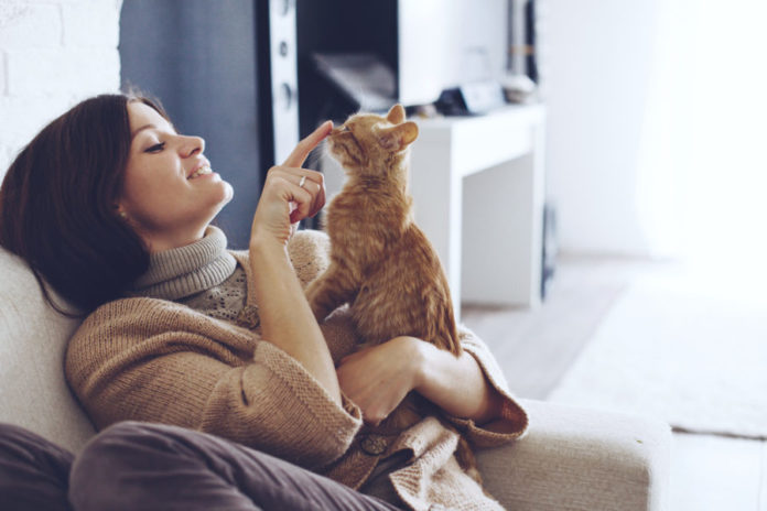 Study reveals the truth about how cats became domesticated