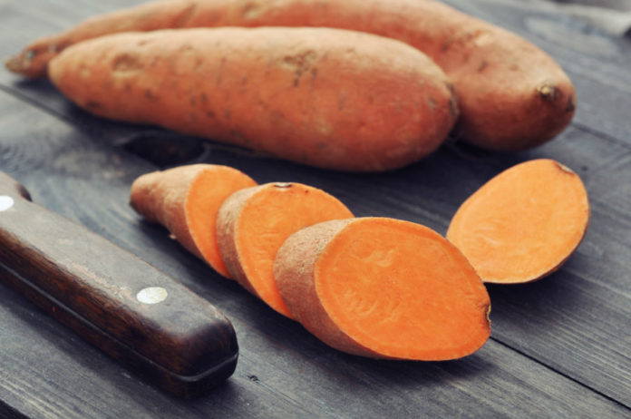 Sweet potatoes for dogs