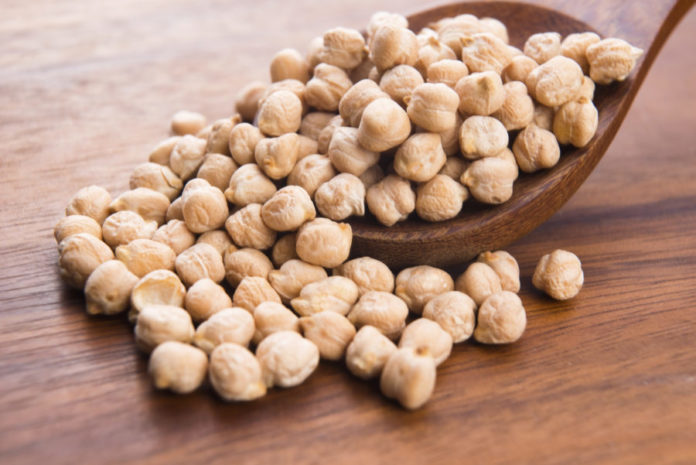 Chickpeas for dogs