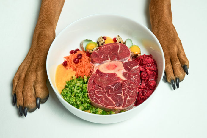 3 essential vitamins your pet needs