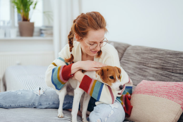 A home health check for your dog or cat