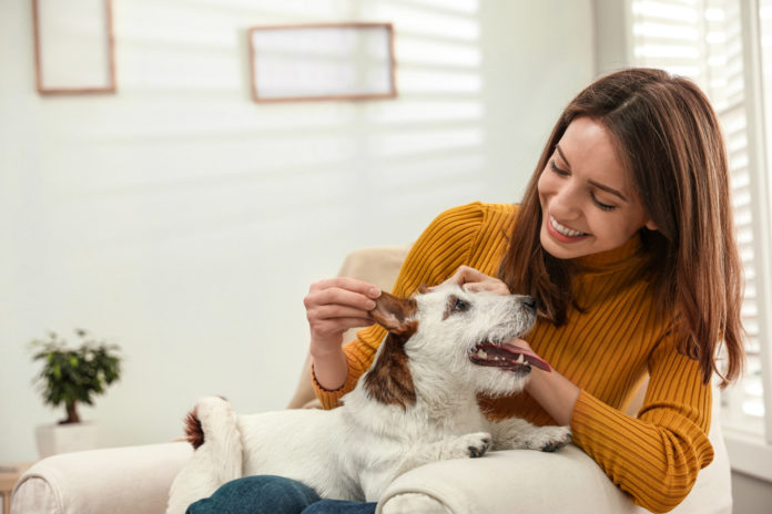Boost your dog’s immunity with acupressure
