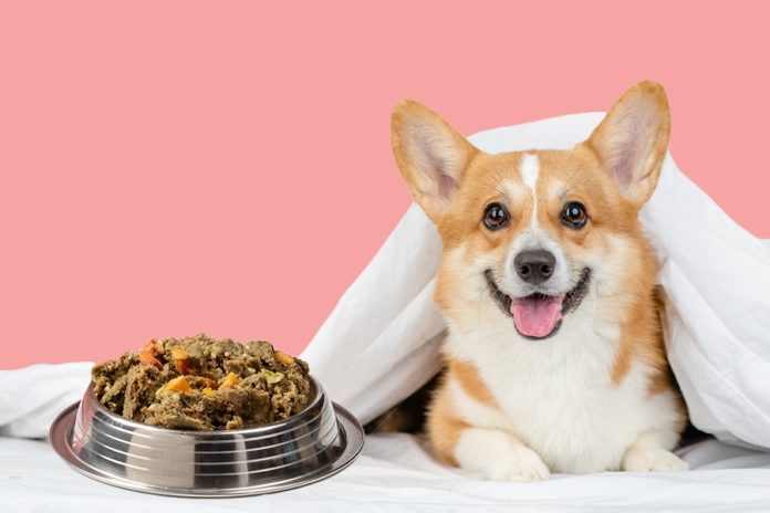 Top 5 signs your dog needs ‘warming’ food