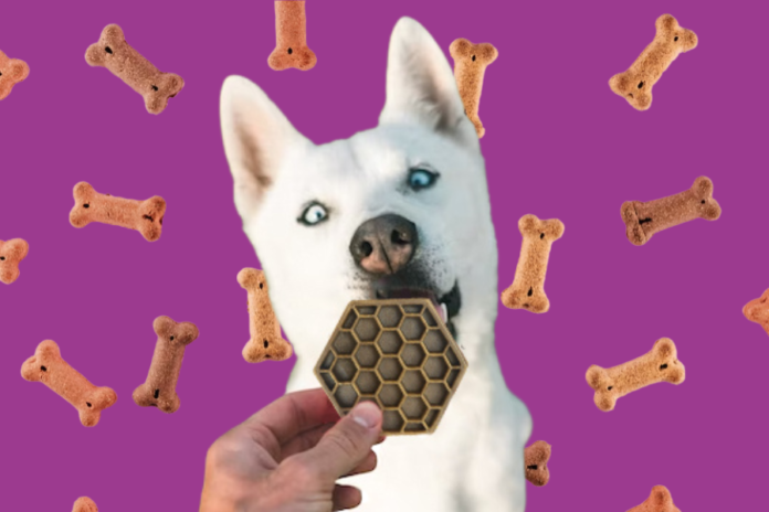 5 ways to know if it’s a safe treat to give your dog!