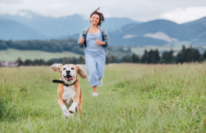 Weight Management for Dogs: Healthy Eating Habits and Exercise