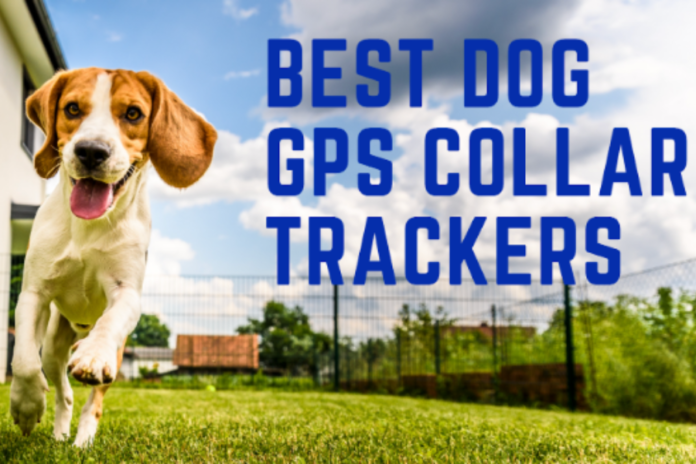 Best Dog GPS Collar Trackers For 2023