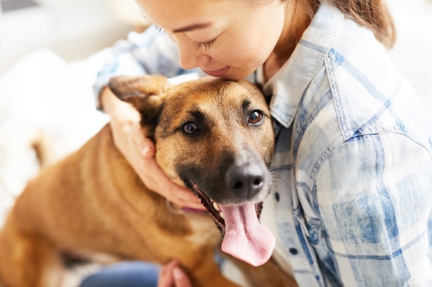 Are Your Scenting Products Safe for Your Four-Legged Family?