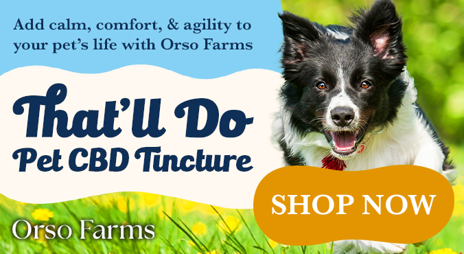 That'll Do CBD Oil for Dogs from Orso Farms