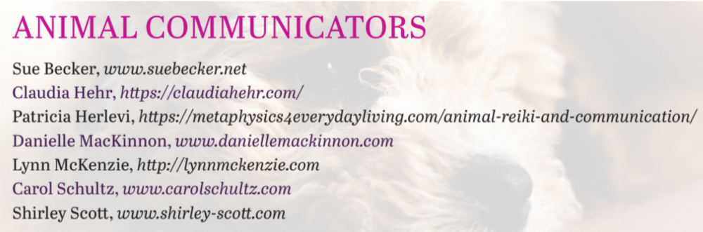 Choosing an Animal Communicator for Your Dog or Cat