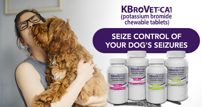 Seize control of your dog's seizures with KBroVet-CA1
