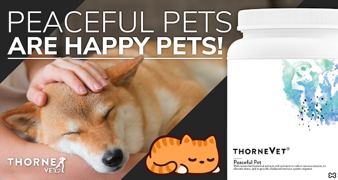 Transform your dog or cat's anxiety with ThorneVet Peaceful Pet