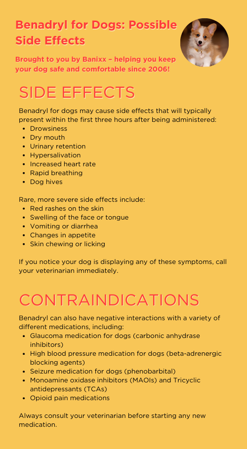 Possible side effects of Benadryl for dogs