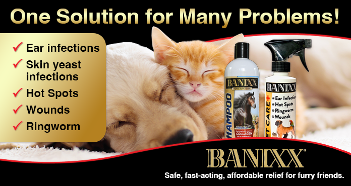 Banixx Pet Care Spray: one solution for many problems!