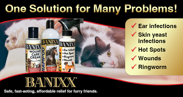 Banixx is the #1 choice of pet owners as a fast-acting, affordable aid in the recovery of every kind of bacterial and fungal infection